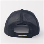 Wingfoot Stripe Hat